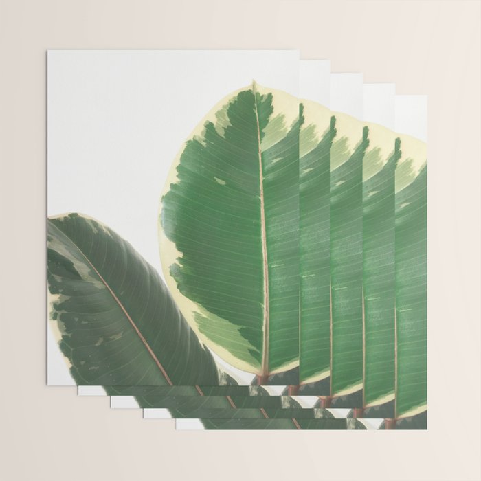Leaf Study Wrapping Paper Gallery Image 3