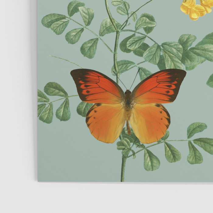 Butterfly Fling Poster Gallery Image 3