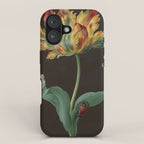 Barbara Regina Dietzsch - Tulip with butterfly and maize - before 1783 iPhone Case Gallery Image 1