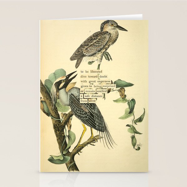 Bird Divinations: Yellow-Crowned Night Heron (about: almanacofbirds.org) Stationery Card Gallery Image 1
