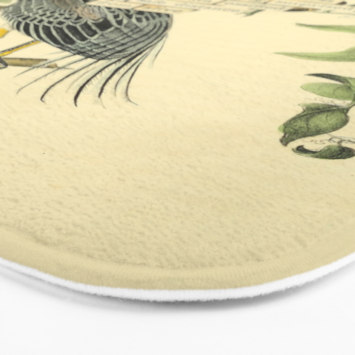 Bird Divinations: Yellow-Crowned Night Heron (about: almanacofbirds.org) Bath Mat Gallery Image 3
