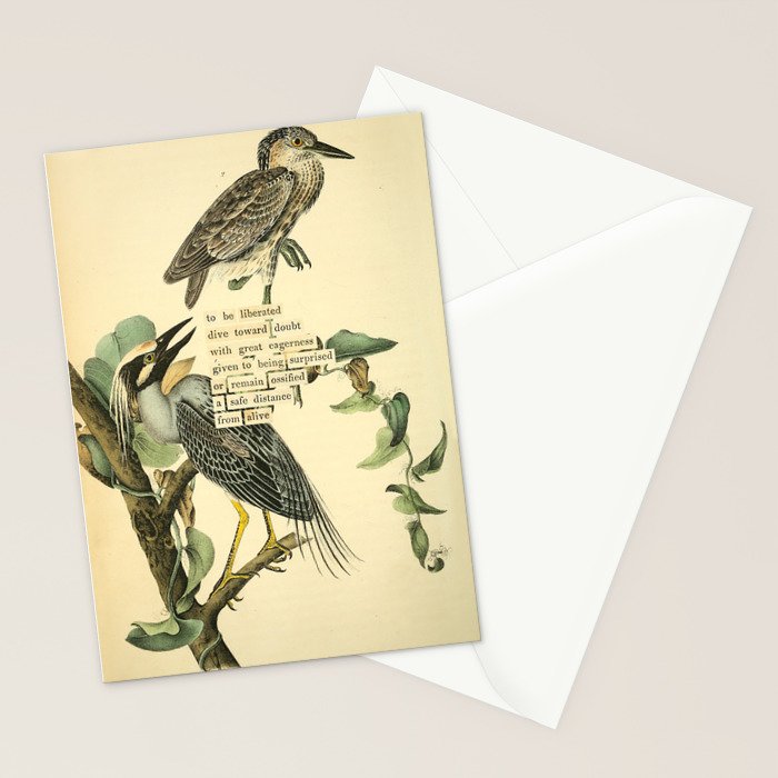 Bird Divinations: Yellow-Crowned Night Heron (about: almanacofbirds.org) Stationery Card Gallery Image 2