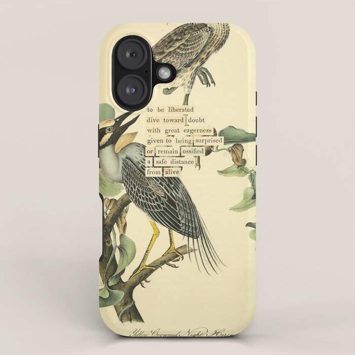 Bird Divinations: Yellow-Crowned Night Heron (about: almanacofbirds.org) iPhone Case Gallery Image 1