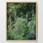 Lupine Serving Tray Gallery Image 1