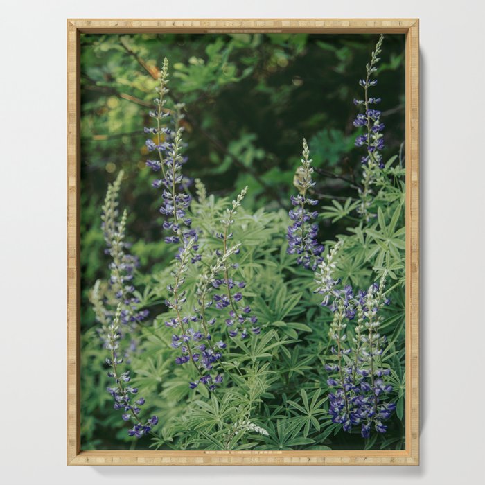 Lupine Serving Tray Gallery Image 1