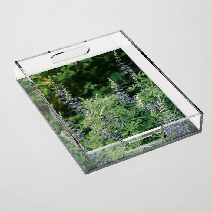 Lupine Acrylic Tray Gallery Image 1