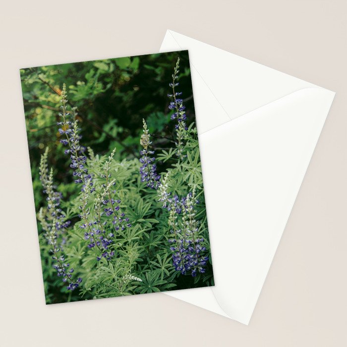 Lupine Stationery Card Gallery Image 2