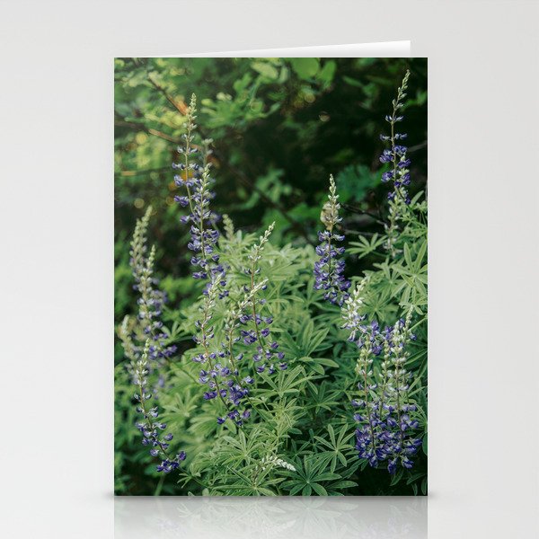 Lupine Stationery Card Gallery Image 1