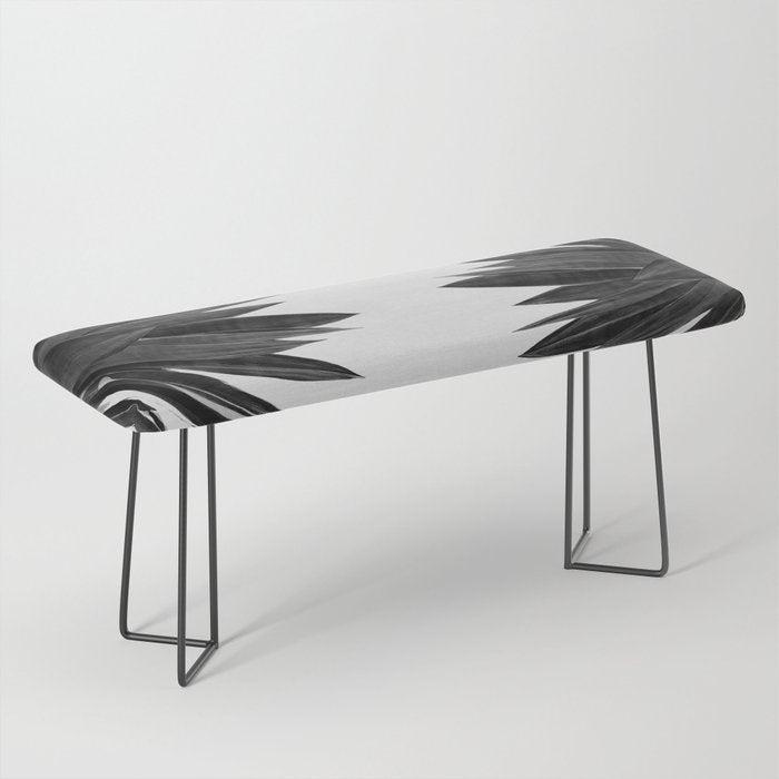 Agave Cactus Black & White Bench Gallery Image 1