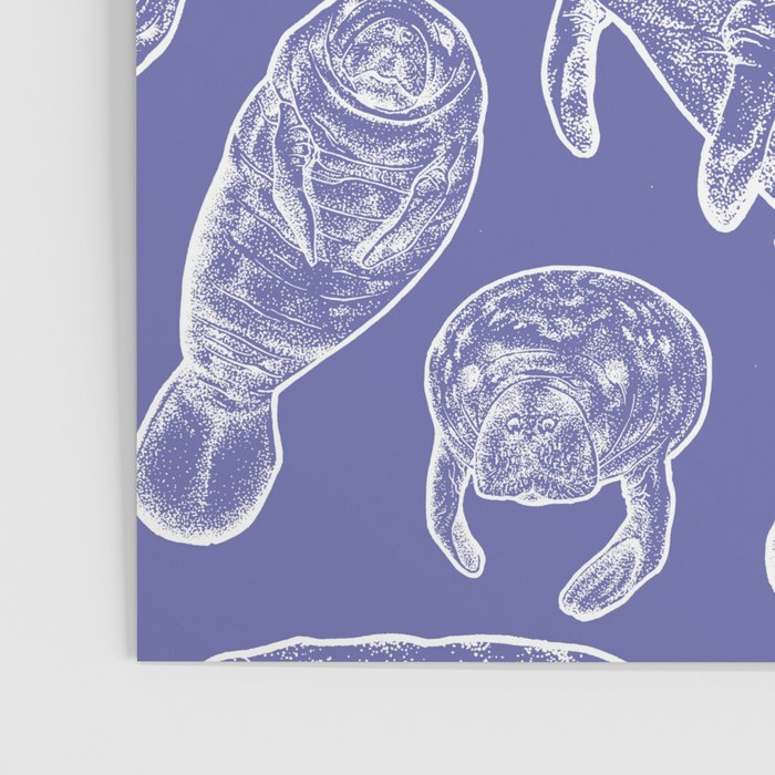 Veri Peri Periwinkle Manatees Poster Gallery Image 3