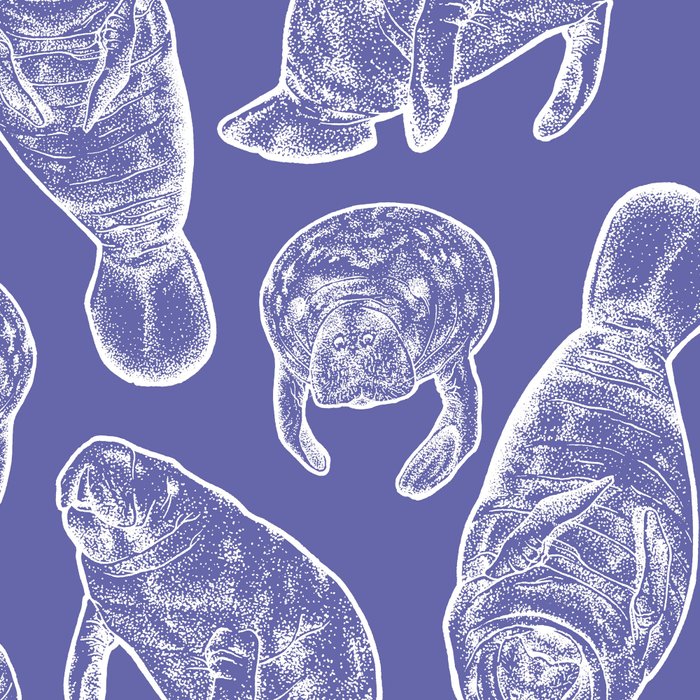 Veri Peri Periwinkle Manatees Coffee Mug Gallery Image 2
