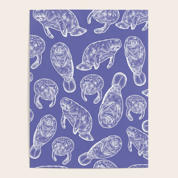 Veri Peri Periwinkle Manatees Poster Gallery Image 4