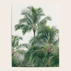Lush Palm Trees Poster Gallery Image 4