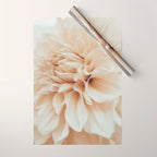 Innocence  Modern Blush White Botanical Dahlia flower photograph Wrapping Paper Gallery Image 1