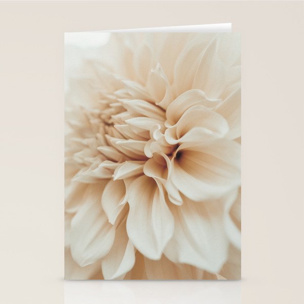 Innocence  Modern Blush White Botanical Dahlia flower photograph Stationery Card Gallery Image 1
