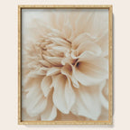 Innocence  Modern Blush White Botanical Dahlia flower photograph Serving Tray Gallery Image 1