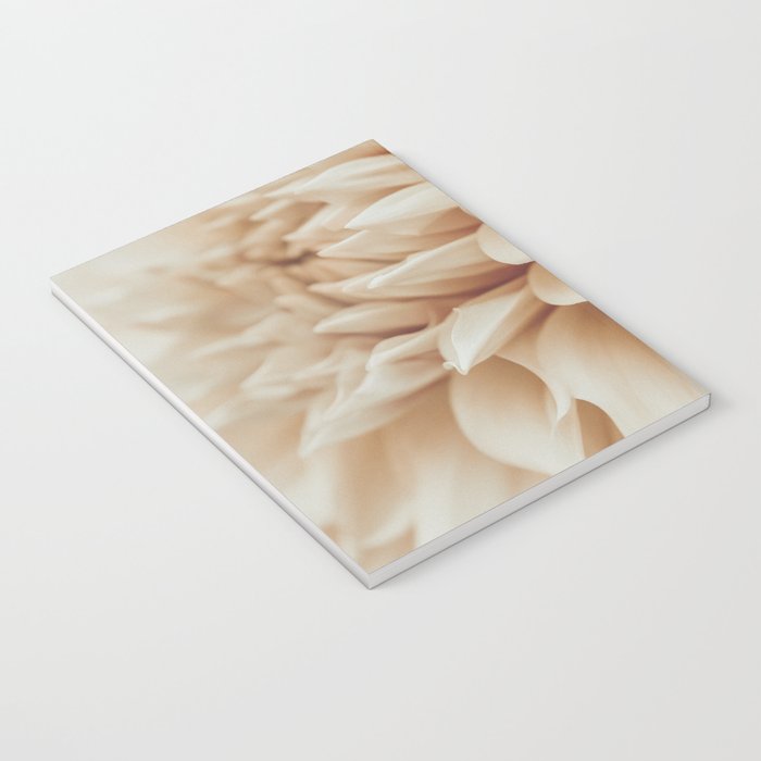 Innocence  Modern Blush White Botanical Dahlia flower photograph Notebook Gallery Image 3
