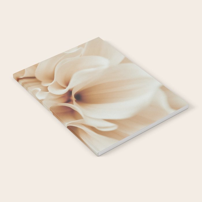 Innocence  Modern Blush White Botanical Dahlia flower photograph Notebook Gallery Image 1