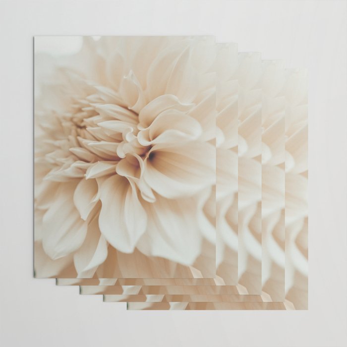 Innocence  Modern Blush White Botanical Dahlia flower photograph Wrapping Paper Gallery Image 3