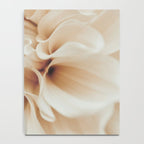 Innocence  Modern Blush White Botanical Dahlia flower photograph Notebook Gallery Image 4