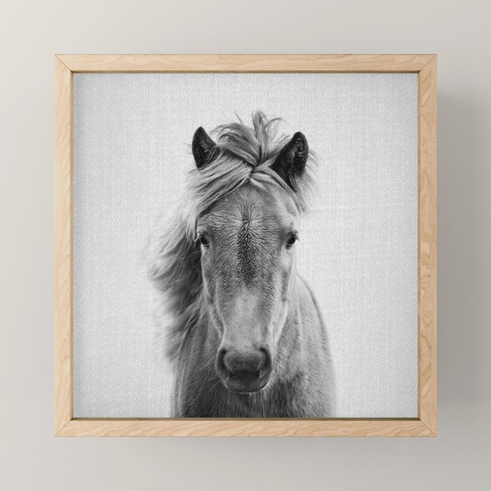 Wild Horse - Black & White Mini Art Print Gallery Image 1