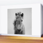 Wild Horse - Black & White Wall Mural Gallery Image 2