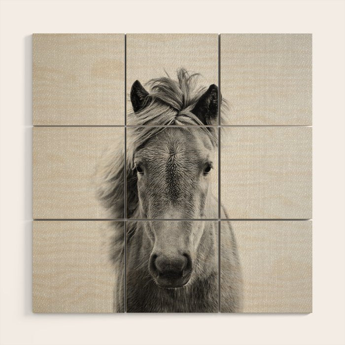 Wild Horse - Black & White Wood Wall Art Gallery Image 1