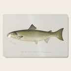 Salmon fish Cutting Board Gallery Image 1