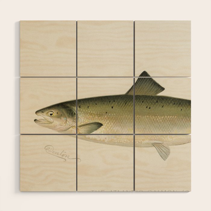 Salmon fish Wood Wall Art Gallery Image 1