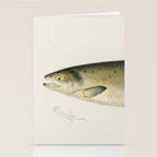 Salmon fish Stationery Card Gallery Image 2