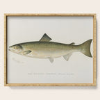 Salmon fish Serving Tray Gallery Image 1
