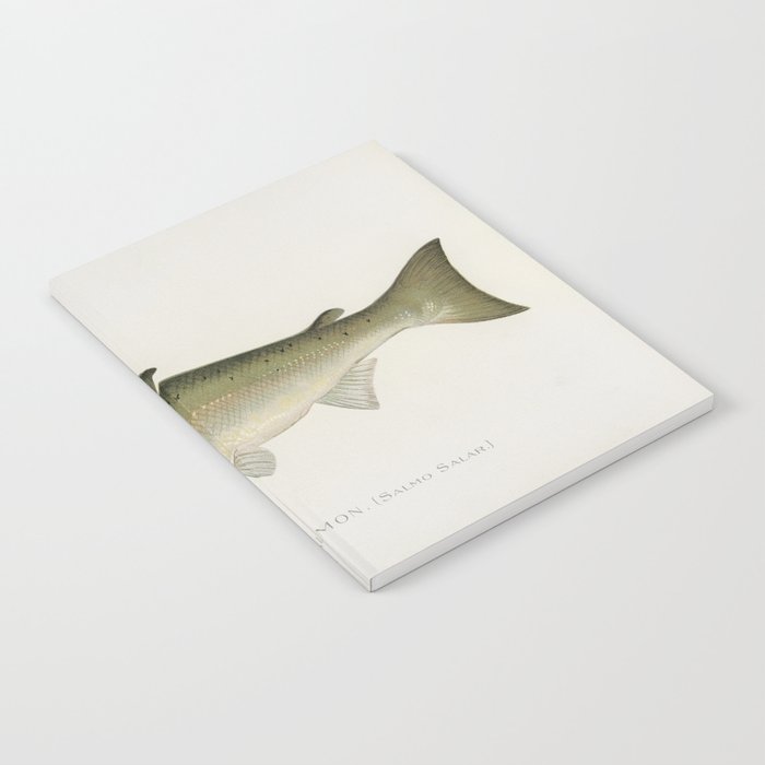 Salmon fish Notebook Gallery Image 2