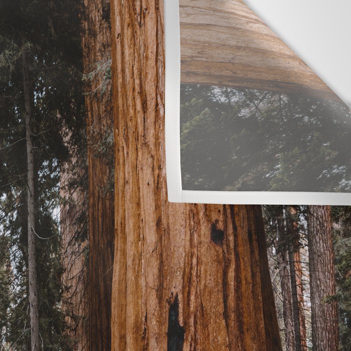 Walking Sequoia 2 Wall Tapestry Gallery Image 3