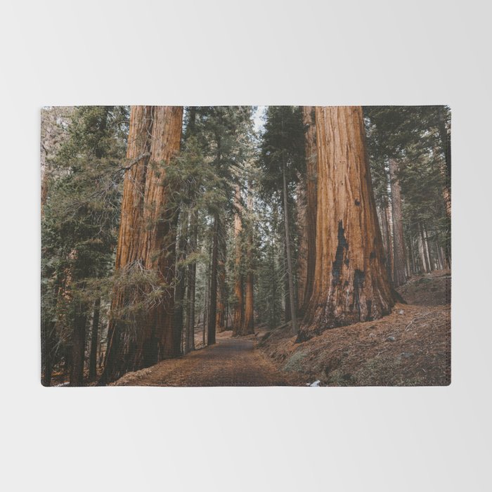 Walking Sequoia 2 Rug Gallery Image 2