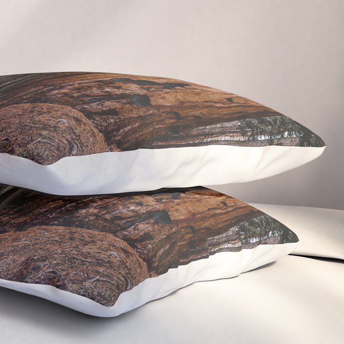 Walking Sequoia 2 Pillow Sham Gallery Image 3