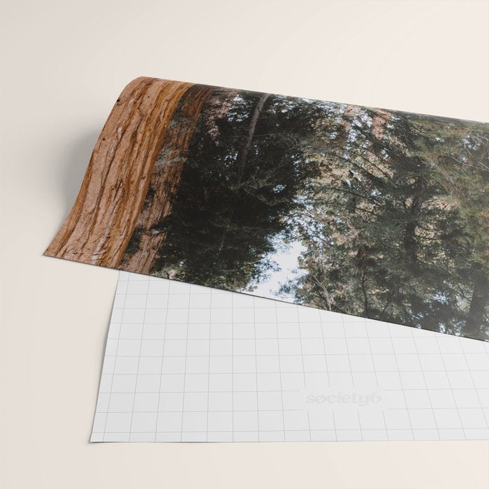 Walking Sequoia 2 Wrapping Paper Gallery Image 2