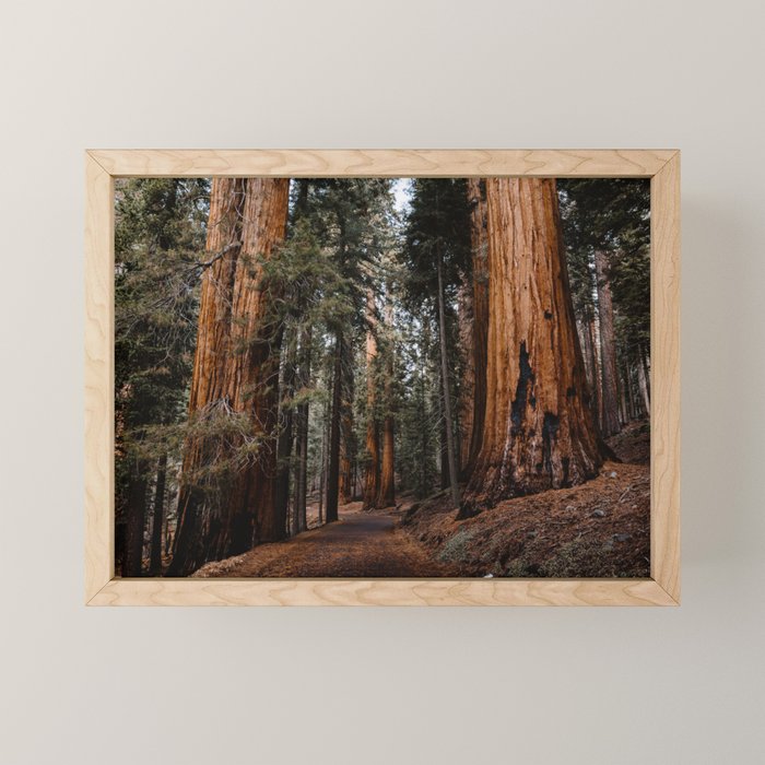 Walking Sequoia 2 Mini Art Print Gallery Image 1