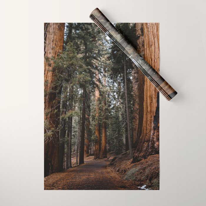 Walking Sequoia 2 Wrapping Paper Gallery Image 1