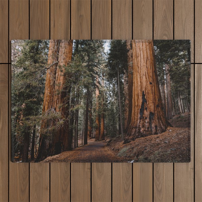 Walking Sequoia 2 Outdoor Rug Gallery Image 1