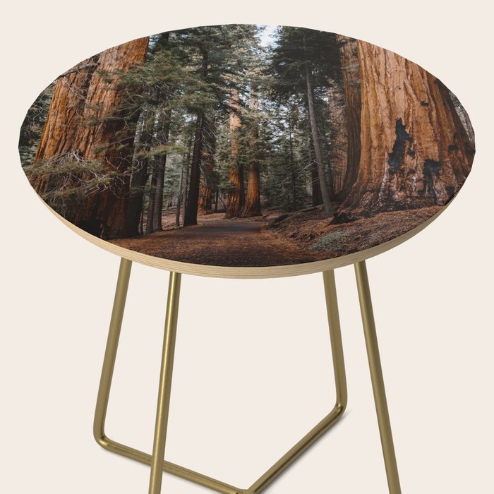 Walking Sequoia 2 Side Table Gallery Image 2