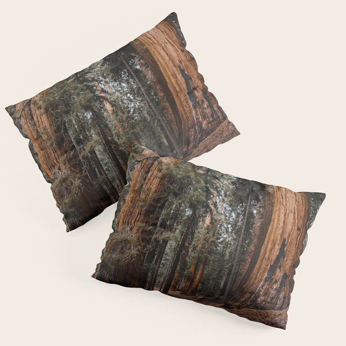 Walking Sequoia 2 Pillow Sham Gallery Image 1