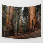 Walking Sequoia 2 Wall Tapestry Gallery Image 4