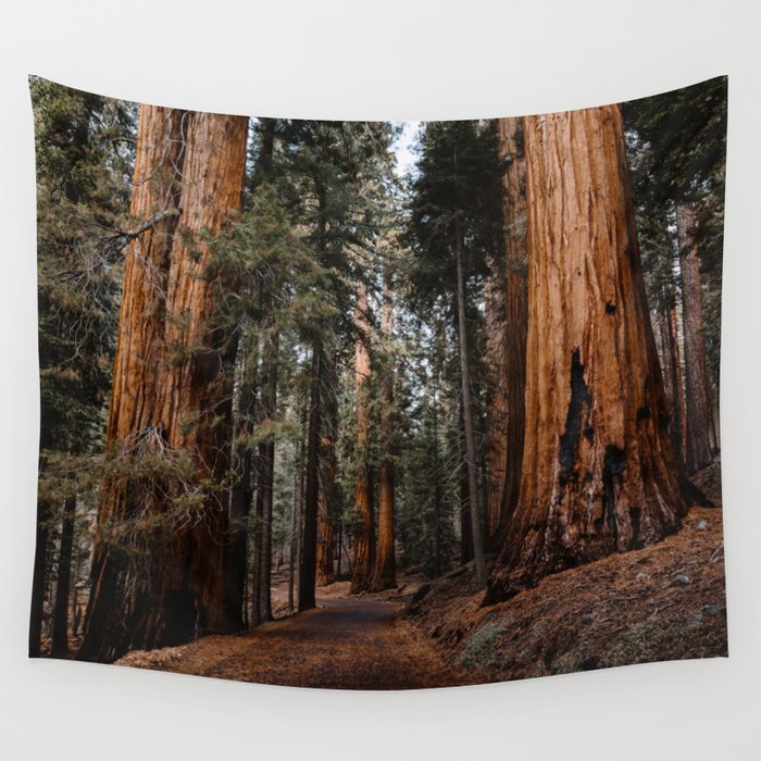 Walking Sequoia 2 Wall Tapestry Gallery Image 4