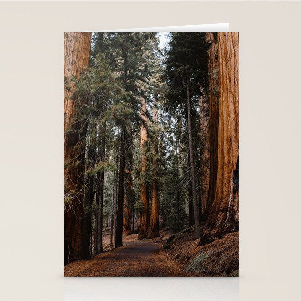 Walking Sequoia 2 Stationery Card Gallery Image 1