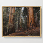 Walking Sequoia 2 Serving Tray Gallery Image 1