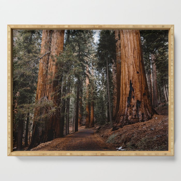 Walking Sequoia 2 Serving Tray Gallery Image 1
