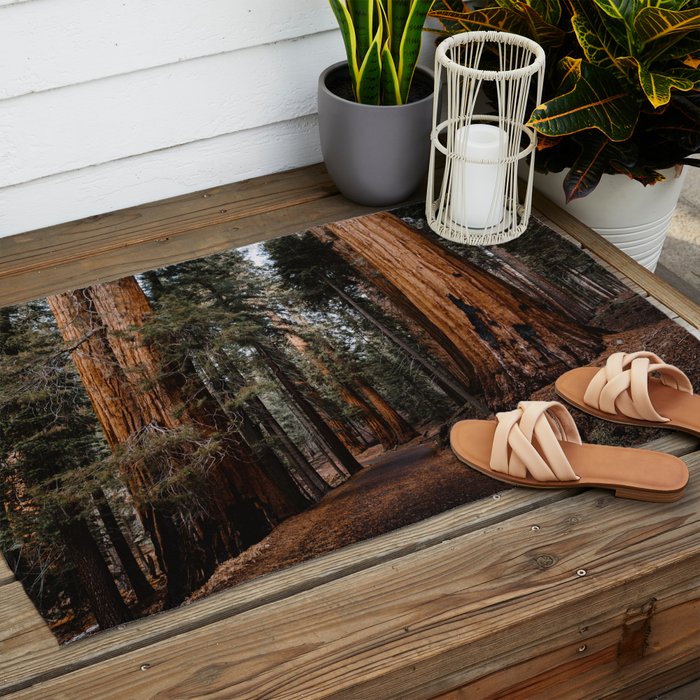 Walking Sequoia 2 Outdoor Rug Gallery Image 2