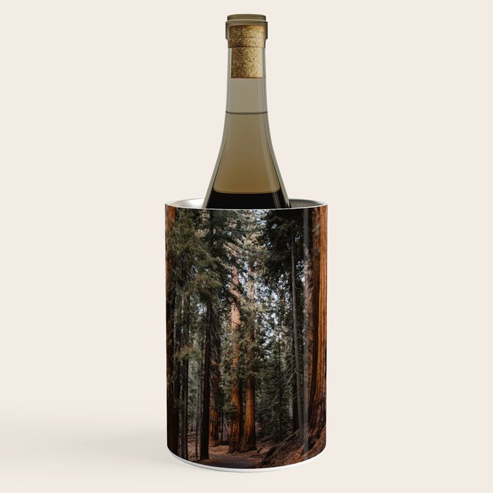 Walking Sequoia 2 Wine Chiller Gallery Image 1