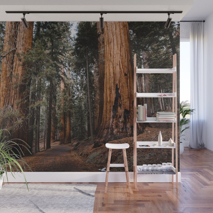 Walking Sequoia 2 Wall Mural Gallery Image 1