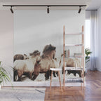 WILD AND FREE 2 - HORSES OF ICELAND Wall Mural Gallery Image 1